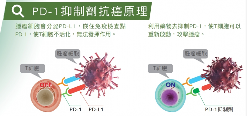 1636521876517981.jpg 1636517152548.jpg